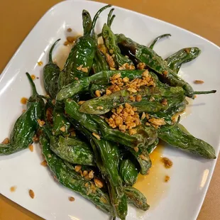 Shishito pepper