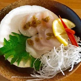 Scallop