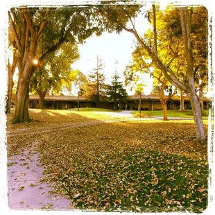 Typical walk to Jason&apos;s coffee cart. Gorgeous. {Jan &apos;13}