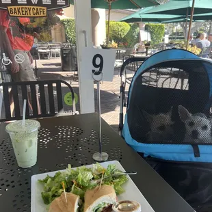 California BLT Sandwich with Garden Salad - 1/2 salad and Sandwich Lunch Combo -14$ plus Iced Green Tea Latte.