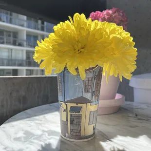 I love using their cups for various things.