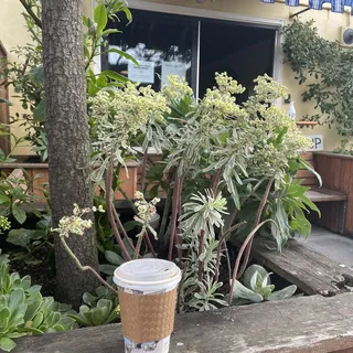 Small Batch Drip Coffee