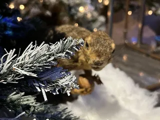 Grey Matter Distillery