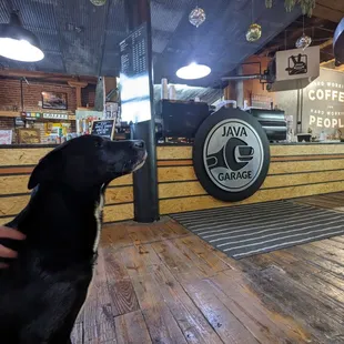 a black dog sitting on a wooden floor