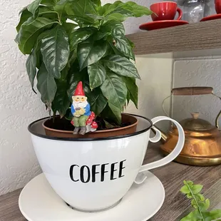 Decor