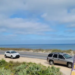 New Year's Eve brunch...watching a large pod of dolphins and Ospreys catching fish!