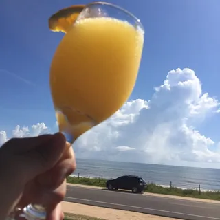 Mimosa