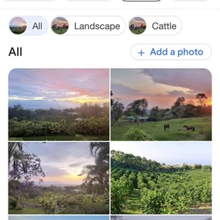 photos of farm in kauaa, hawaii