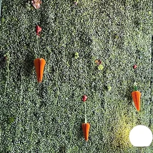 Funky astroturf wall with paper carrots