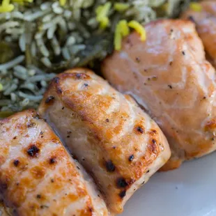 Salmon