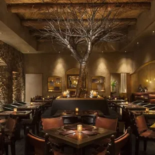 Javier's Tree of Life