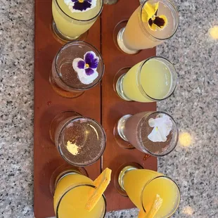 Mimosa flight las 4 amigas