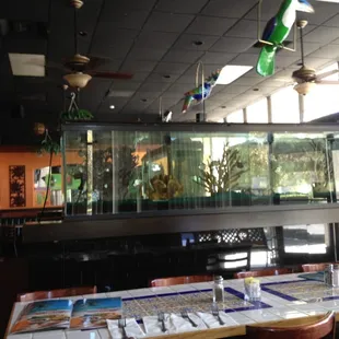 Interior of Javi's. First time here. Fresh and yummy Mexican. Mmmmm...