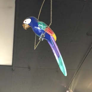 sushi and sashimi, interior