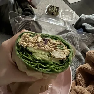 Spring Angel Grilled Chicken Salad Sandwich with spinach wrap