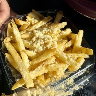 Garlic Parmesan Fries