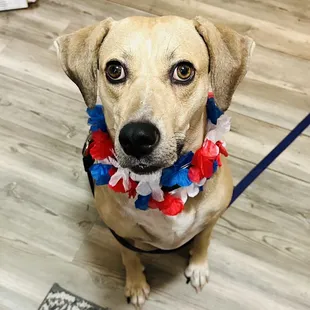 We are hopeless to the whims of this princess. Those eyes !