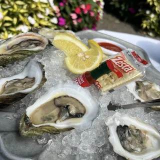 Blue Point Oysters on the half shell