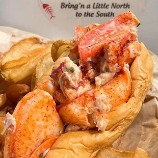 Lobsterlicious! (･‿･) Yes to chunks of tender lobster meat nestled in a warm soft roll @ #JaxFishFry-St. John&apos;s