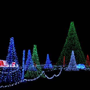 Half a Million lights dancing to the holiday music playing in your car.
www.jaxilluminations.com
