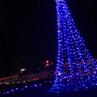 Tree lights up to music