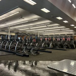 rows of stationary bikes in a gym