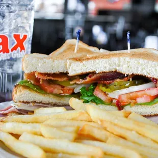 a sandwich and french fries