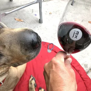 Mazie loves the Caberet nose!