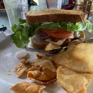 Grilled or fried chicken club