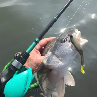Wading is good