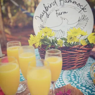 Bridal party charcuterie in the pine forest hammocks