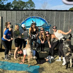 Bridal party at Goat yoga