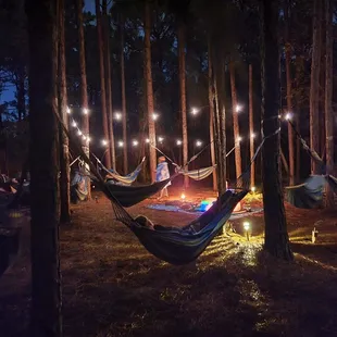 Meditation &amp; sound bath in pine forest hammocks