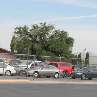 Right side of our lot....pleading for total shop upgrade. Which is coming soon!!   :-)