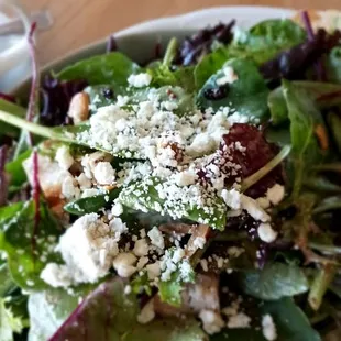 Katy 's Country Salad