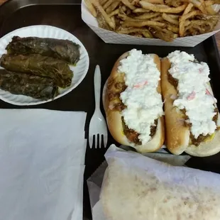 Gyro, chili slaw dogs, grape leaves and large fries. Yummy