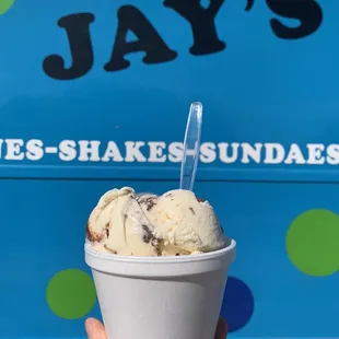 a hand holding a cup of ice cream