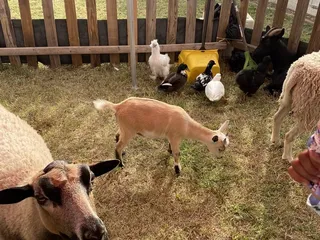 Carter's Farm Mobile Petting Zoo
