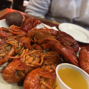 Crawfish