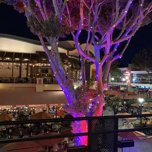 View from my table upstairs balcony. It was lovely.