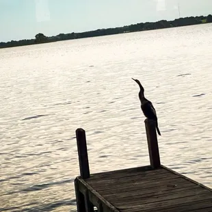 Dining room view. Sunset.