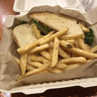 Turkey sandwich and fries.