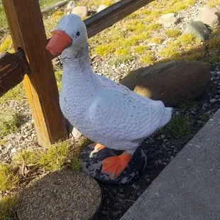 Quaint little goose decor outside