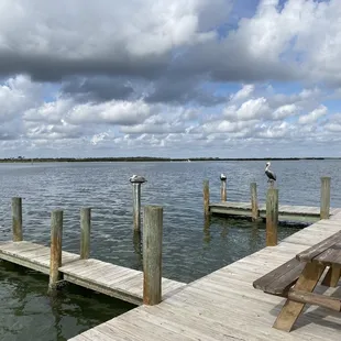 a dock with two seagulls