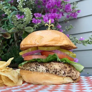 Grilled Chicken Sandwich