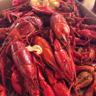 Crawfish