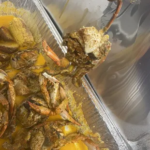 a person holding a crab