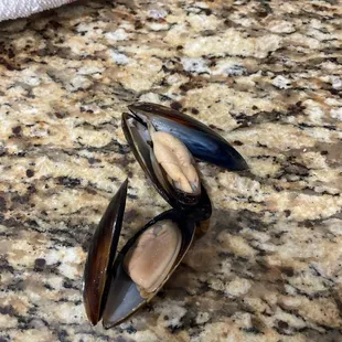 Avoid buying mussels from JB's