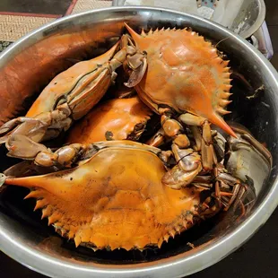 Another shot of the blue crabs