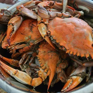 Blue crabs
